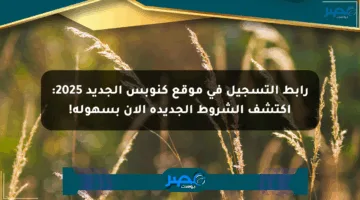 رابط التسجيل في موقع كنوبس الجديد 2025: اكتشف الشروط الجديدة الآن بسهولة!